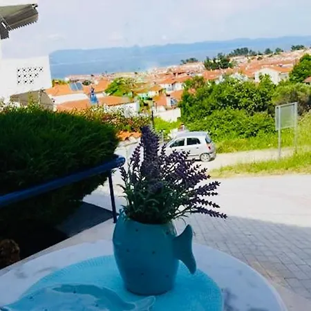 Pine & View דירה *