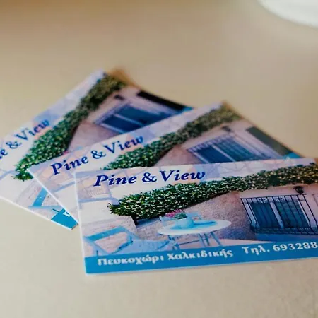 דירה Pine & View *