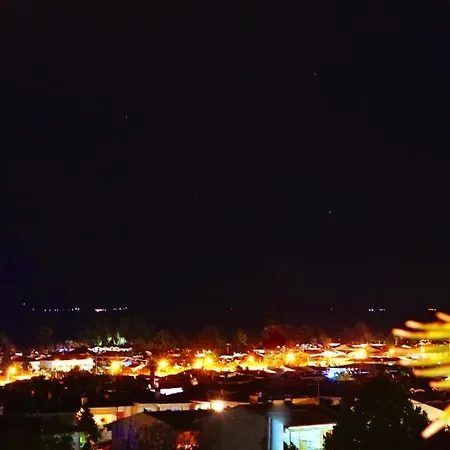 Pine & View *