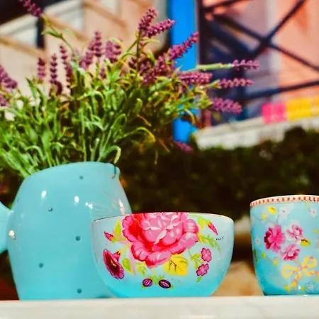 Pine & View Apartament *