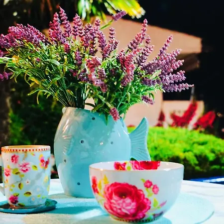 Pine & View דירה *