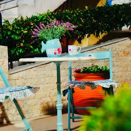 Apartament Pine & View