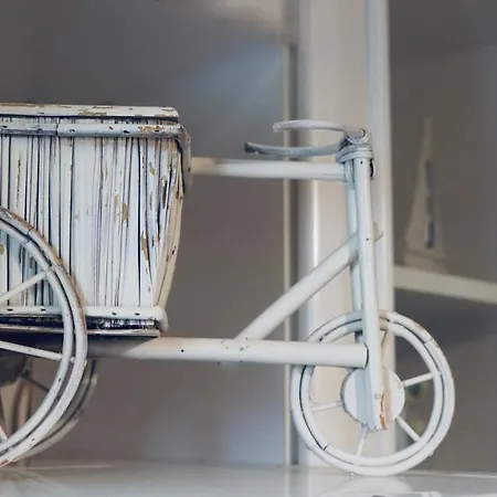 דירה Pine & View *