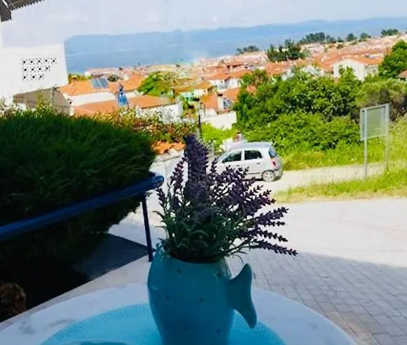 Pine & View Appartement *