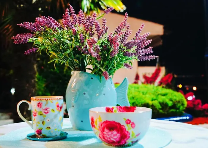 Pine & View Appartement *