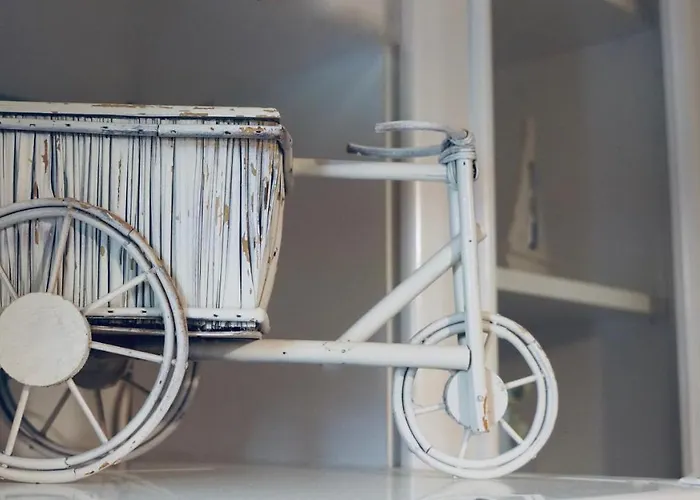 Appartement Pine & View *