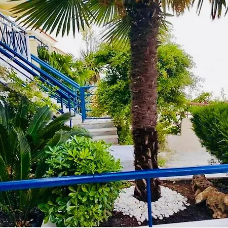 Διαμέρισμα Pine & View *