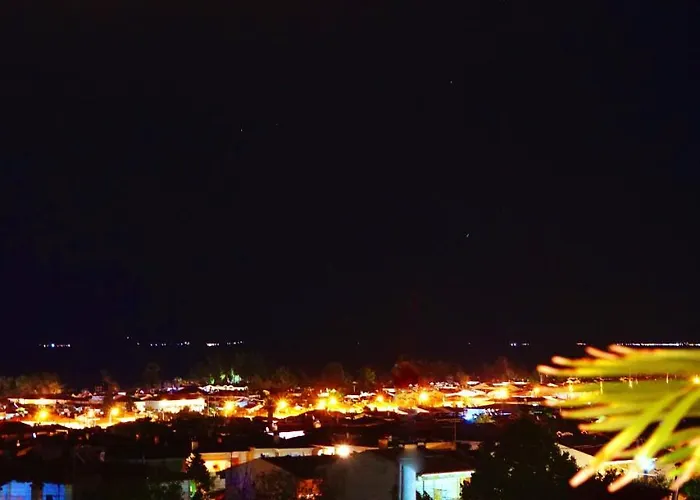 Pine & View *